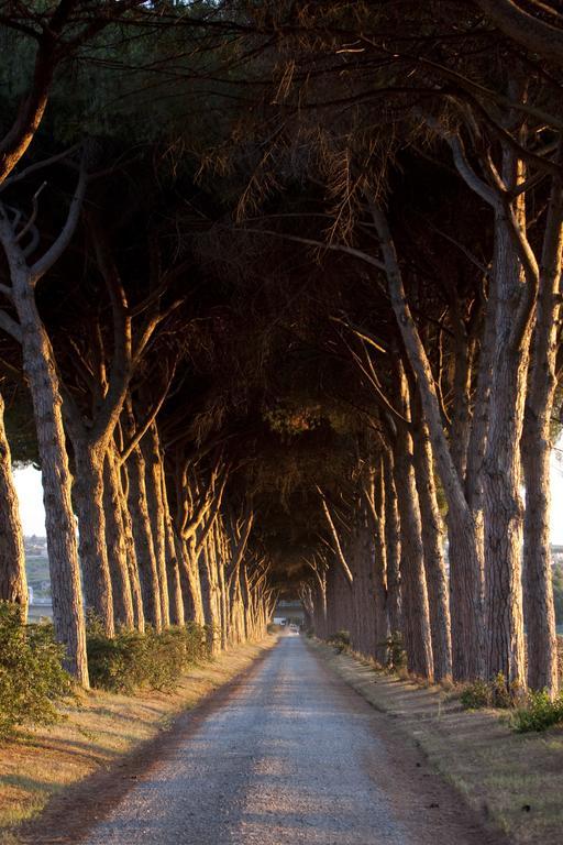 Agriturismo Pantano Borghese Monte Compatri Exteriér fotografie