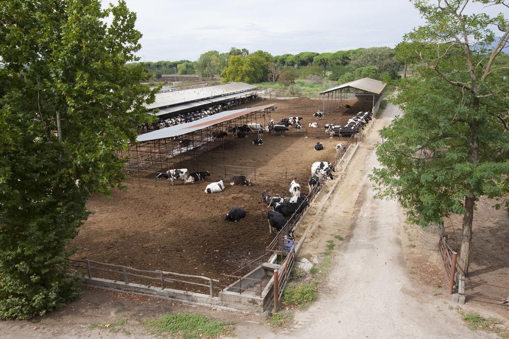 Agriturismo Pantano Borghese Monte Compatri Exteriér fotografie