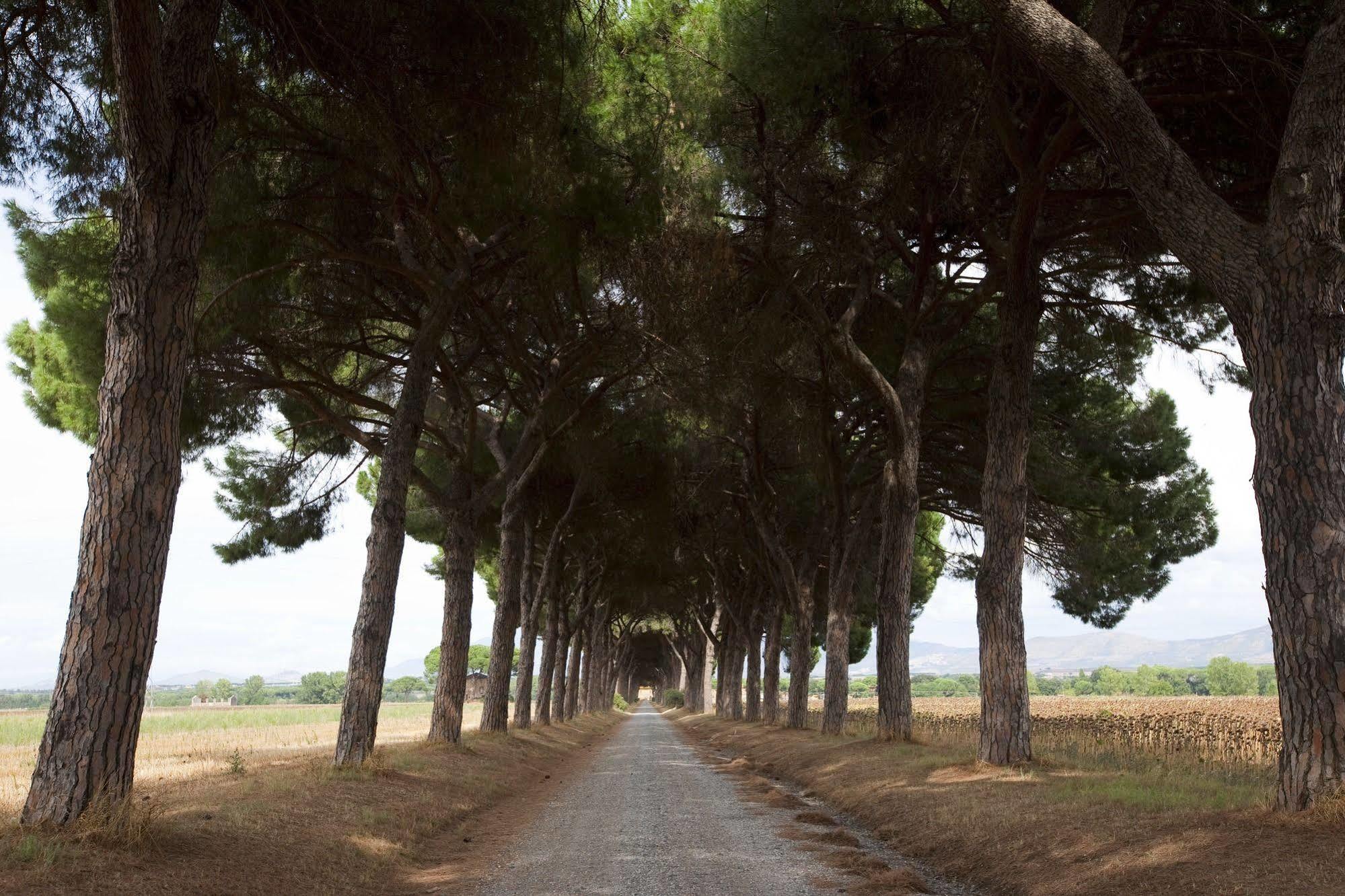 Agriturismo Pantano Borghese Monte Compatri Exteriér fotografie